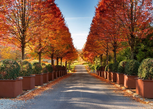 Corten Steel: Alberta’s Ultimate Retaining Wall Revolution - Staaltec