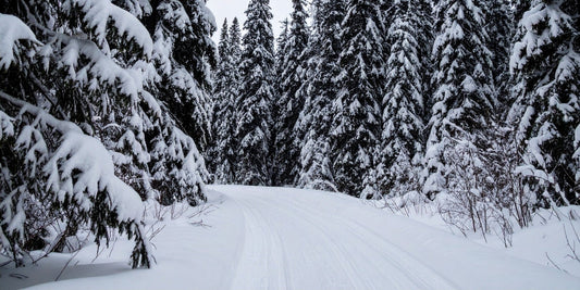Corten Steel in Alberta’s Harsh Winters: Unmatched Resilience - Staaltec