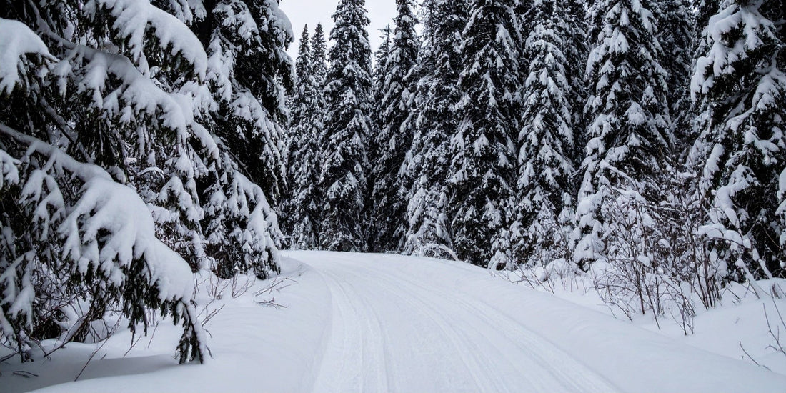 Corten Steel in Alberta’s Harsh Winters: Unmatched Resilience - Staaltec