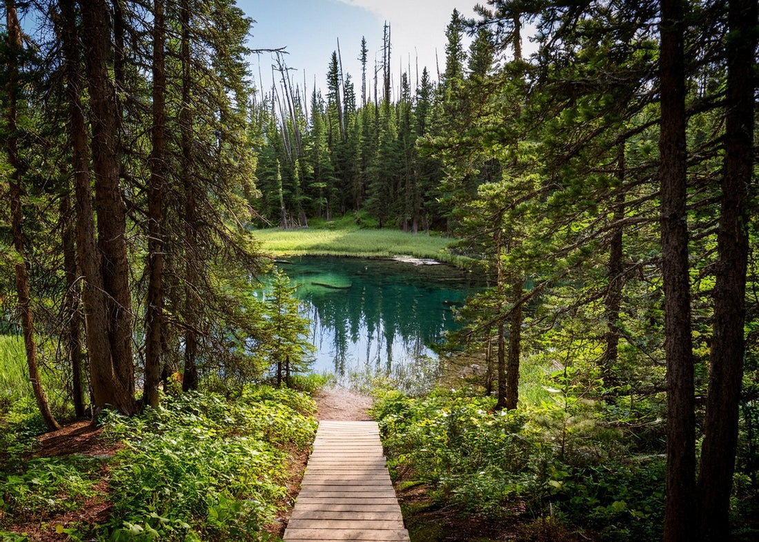How to Incorporate Corten Steel into Alberta’s Modern and Rustic Landscape Designs - Staaltec